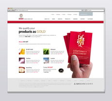 立德国际商品试验 以创新网页设计打造专业品牌形象