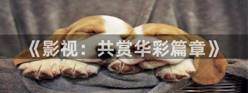 酷客影院免费观看：《影视：共赏华彩篇章》