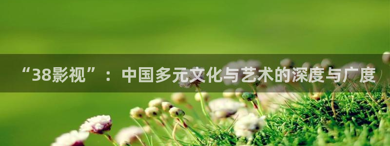 手机影院酷客：“38影视”：中国多元文化与艺术的深度与广度