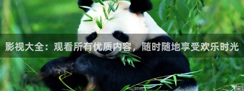 酷客在线影院：影视大全：观看所有优质内容，随时随地享受欢乐时光