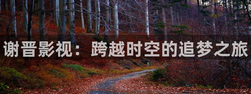 酷客 影院：谢晋影视：跨越时空的追梦之旅
