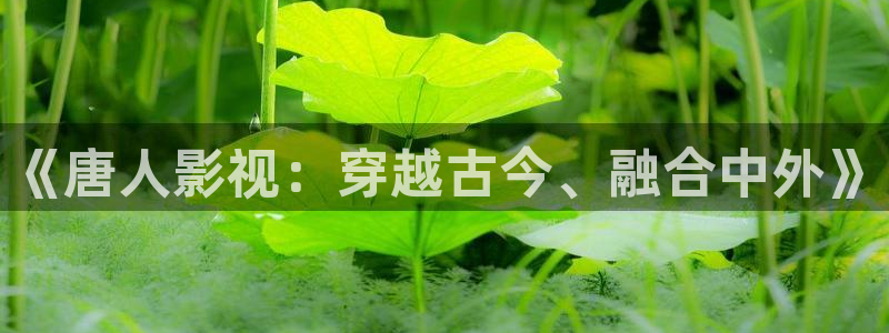 酷客影院在线观看了：《唐人影视：穿越古今、融合中外》
