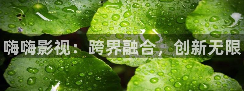 酷客影院2023：嗨嗨影视：跨界融合，创新无限