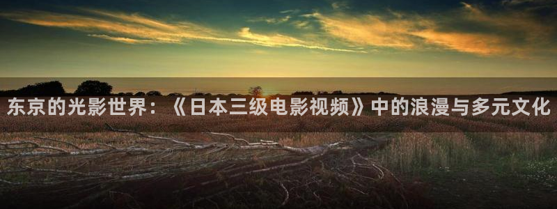 酷客影院在线电视剧：东京的光影世界：《日本三级电影视频》中的浪漫与多元文化