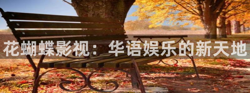 酷客影院理论：花蝴蝶影视：华语娱乐的新天地