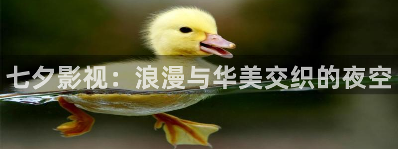 酷客影院_最新电影电视剧手机免费在线观看：七夕影视：浪漫与华美交织的夜空