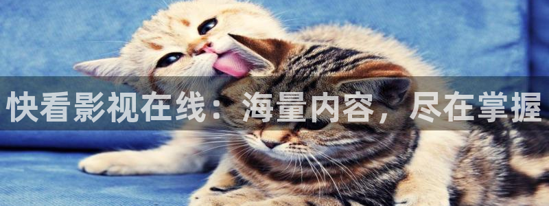 酷客影院：快看影视在线：海量内容，尽在掌握