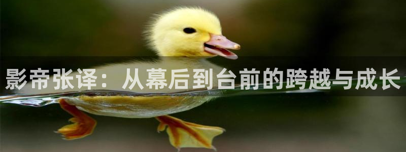 酷客影院手机在线电视剧免费：影帝张译：从幕后到台前的跨越与成长